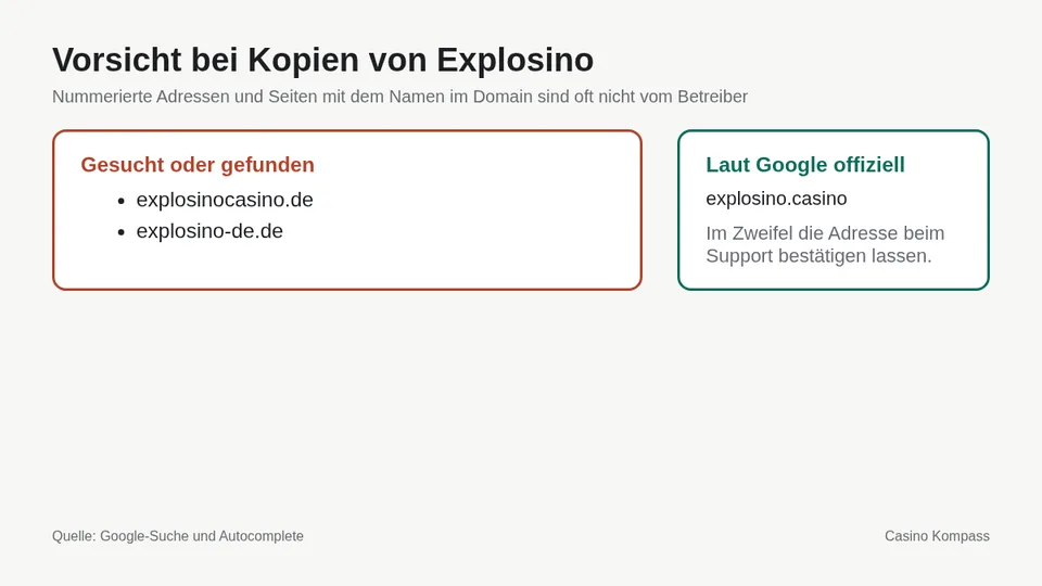 Warnung vor Kopien und Spiegelseiten von Explosino